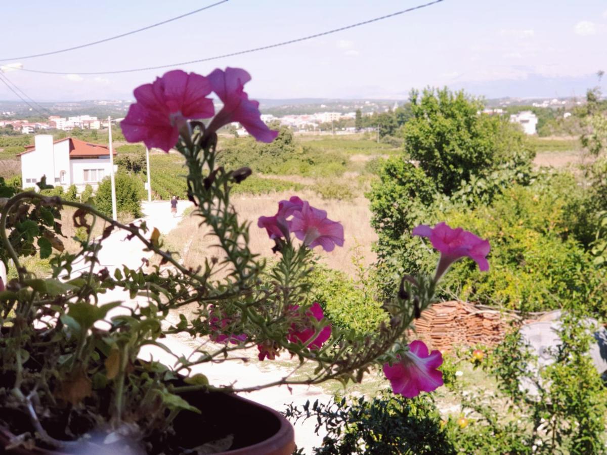Appartamento Delia Međugorje Esterno foto